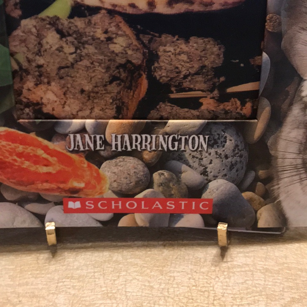 Book - Picture 4 of 6